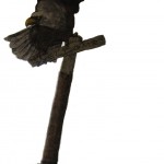eagle welcome post