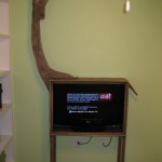 giraffe tv station