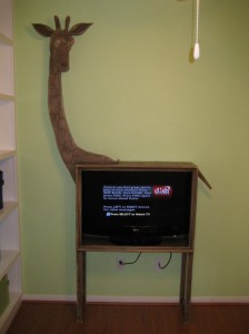 giraffe tv station